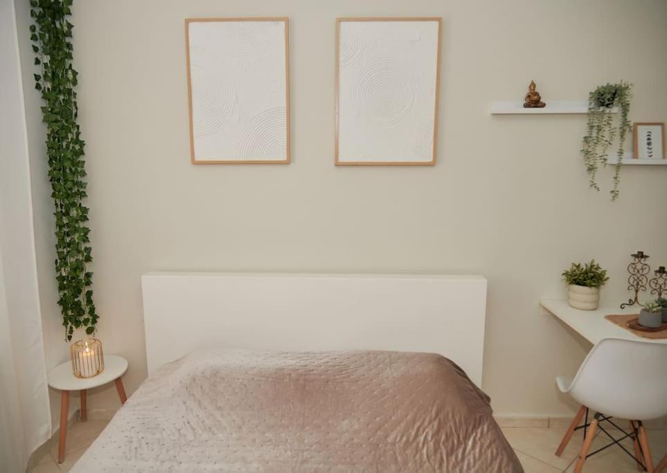 Florina Modern Studio 외부 사진