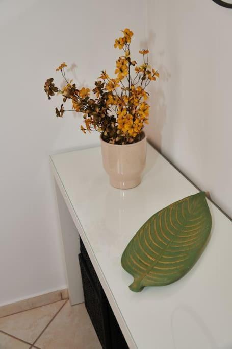 Florina Modern Studio 외부 사진