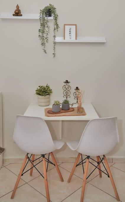 Florina Modern Studio 외부 사진